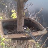 photo 2019-12-22 13-04-03