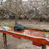 photo 2021-03-20 12-37-04