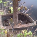 photo 2019-12-07 13-30-32