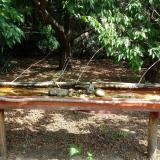 photo 2021-07-14 10-46-15