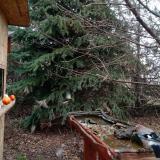 photo 2021-12-16 10-49-12