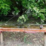 photo 2021-05-25 10-33-55