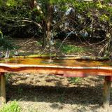 photo 2021-04-21 12-51-12