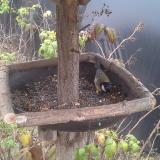 photo 2019-12-07 13-57-49