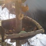 photo 2019-01-31 08-55-23