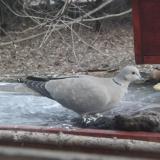 photo 2022-01-24 14-57-23 025