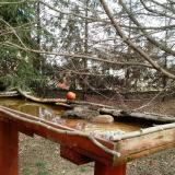 photo 2022-03-17 11-33-32