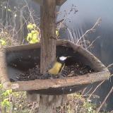 photo 2019-12-22 13-32-28