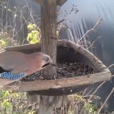 photo 2019-12-22 11-31-27