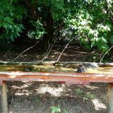 photo 2021-08-04 10-20-46