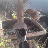 photo 2019-12-25 09-16-06