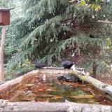 photo 2023-10-10 08-49-43