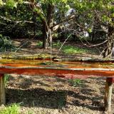 photo 2021-04-20 09-00-02