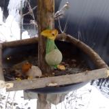 photo 2019-01-20 14-11-01