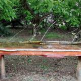 photo 2021-05-06 17-49-24