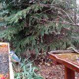 photo 2021-11-13 08-38-08