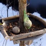 photo 2019-01-11 14-05-42