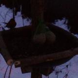 photo 2019-01-10 06-53-11