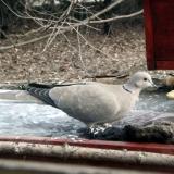 photo 2022-01-24 14-57-23 016