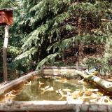 photo 2023-10-17 13-16-04