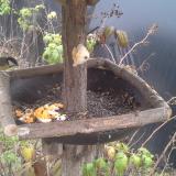 photo 2019-12-07 14-09-05