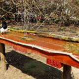 photo 2021-03-31 13-51-26