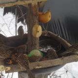 photo 2019-01-27 13-18-57