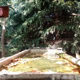 photo 2023-10-04 15-01-04