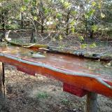 photo 2021-04-05 07-49-39