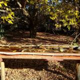 photo 2021-10-20 09-56-10