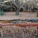 photo 2021-10-26 08-04-23