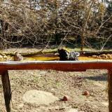 photo 2021-03-13 09-23-27