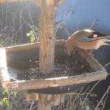 photo 2019-12-26 10-11-16