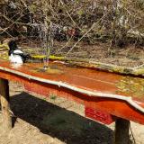 photo 2021-03-31 13-51-58