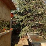 photo 2022-01-10 13-16-31