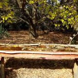 photo 2021-10-19 13-26-00