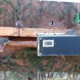 photo 2021-03-03 08-29-07