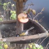 photo 2019-12-05 13-45-51