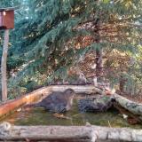 photo 2023-10-14 08-02-36