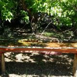 photo 2021-05-10 10-27-55