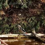 photo 2021-11-17 10-40-36 fakopancs