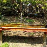 photo 2021-04-21 13-03-42