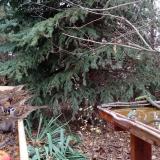 photo 2021-11-13 14-27-18