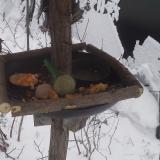 photo 2019-01-23 11-51-00