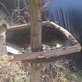 photo 2019-03-06 09-30-28