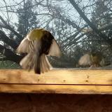 photo 2022-01-15 10-26-06 cinke