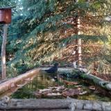 photo 2023-10-03 07-38-33