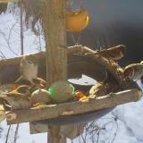 photo 2019-01-27 09-13-05