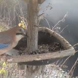 photo 2019-12-29 08-23-18