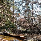 photo 2022-03-01 09-58-54 vorosbegy